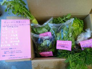 20130129_075533.jpg