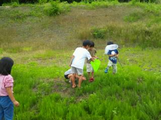 20130624_170614.jpg